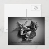 シェル日付のポストカードを保存 案内ポストカード (正面/裏面)