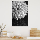 シェル球 ポスター (キッチン)