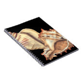 シェル芸術的を連結 ノートブック (右側)