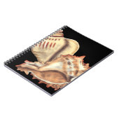 シェル芸術的を連結 ノートブック (左側)