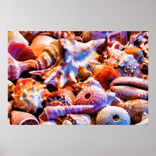 シェル1 Alt ポスター (正面)