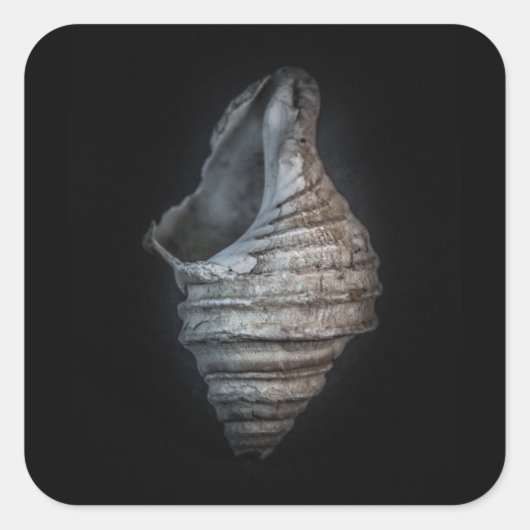 シェル6色バージョンなし スクエアシール (正面)