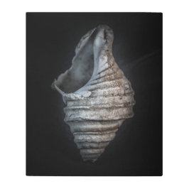 シェル6色バージョンなし メタルプリント