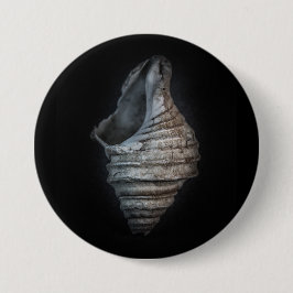 シェル6色バージョンなし 缶バッジ