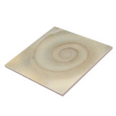 シェル – コンコロジー – 白い緩和曲線 タイル (側面)