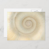 シェル – コンコロジー – 白い緩和曲線 ポストカード (正面/裏面)
