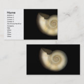 シェル – コンチョロジー – Nautilus 名刺 (正面/裏面)