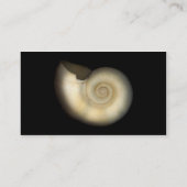 シェル – コンチョロジー – Nautilus 名刺 (裏面)