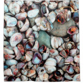 シェル シャワーカーテン (正面)