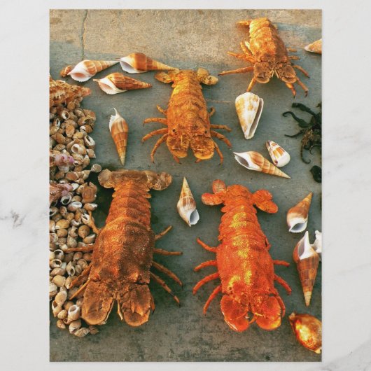 シェル チラシ (正面)