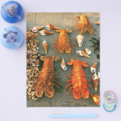 シェル チラシ (シングル)