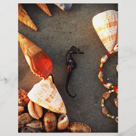 シェル チラシ (正面)