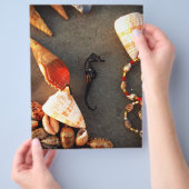 シェル チラシ (手)