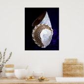 「シェル」プリント ポスター (キッチン)