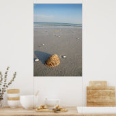 シェル ポスター (キッチン)