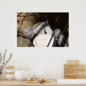 シェル ポスター (キッチン)