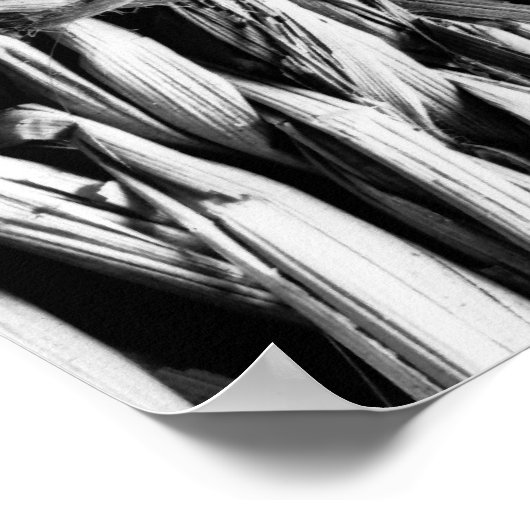 シェル ポスター (角)