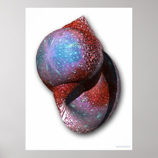 シェル ポスター