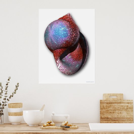 シェル ポスター (キッチン)