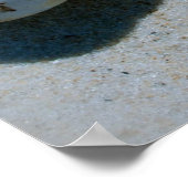 シェル ポスター (角)