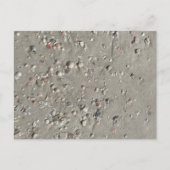 シェル ポストカード (正面)