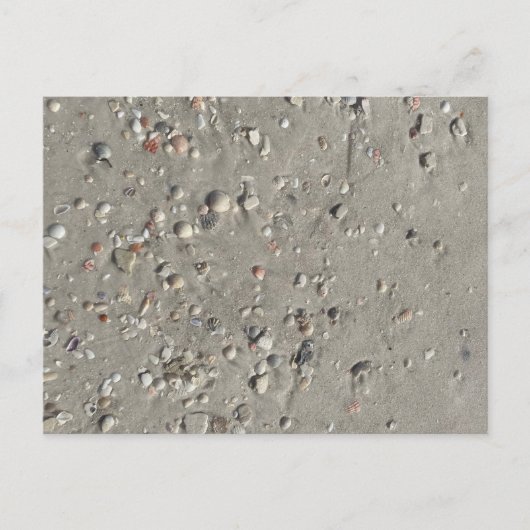 シェル ポストカード (正面)