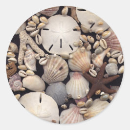 シェル ラウンドシール