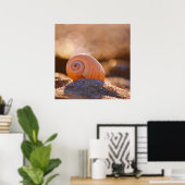 シェル《写真》ぼけ味 |ギリシャ ポスター (ホームオフィス)