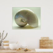 シェル#1 ポスター (キッチン)