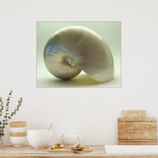 シェル#1 ポスター (キッチン)