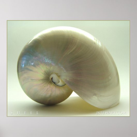 シェル#1 ポスター (正面)