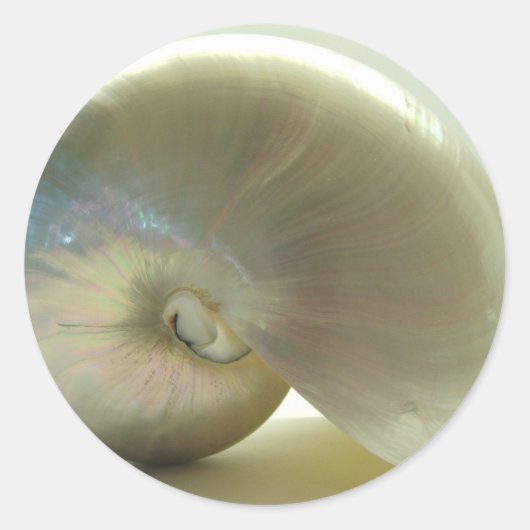 シェル#1 ラウンドシール (正面)