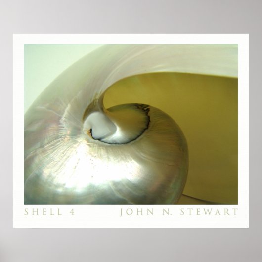 シェル#4 ポスター (正面)