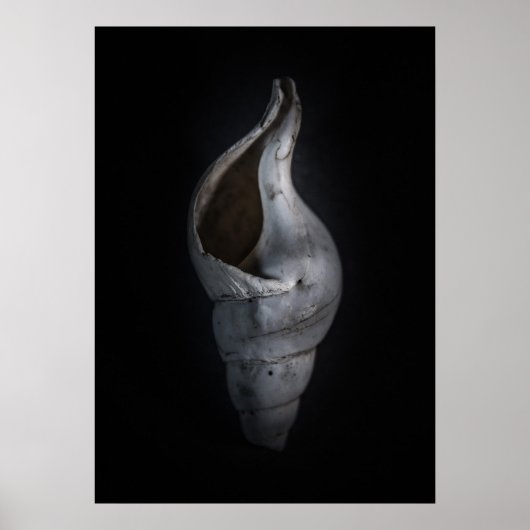 シェルNo 4色バージョン ポスター (正面)