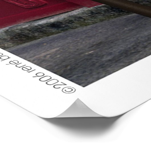 シェレイモンド ポスター (角)