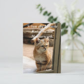 シェンディ・クライインセのカッツェ奏者のイイ… ポストカード (スタンド正面)