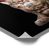 シェークスピアとその子猫 ポスター (角)