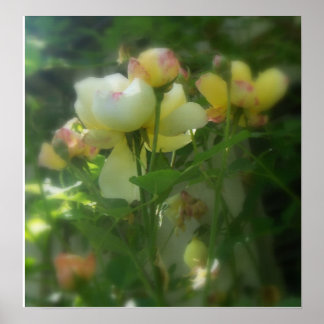 シェーディング ポスター