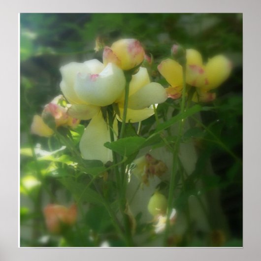 シェーディング ポスター (正面)