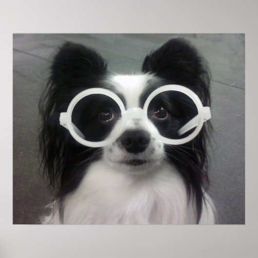 シェードのクーパー ポスター (正面)