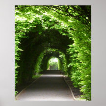 シェードボタニックガーデンアーバー