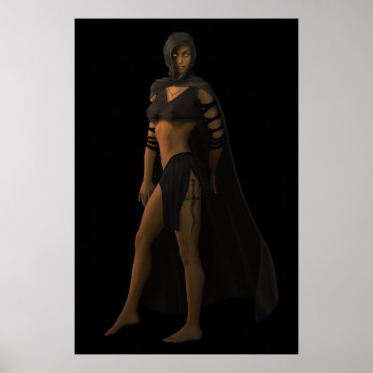 シェード ポスター (正面)