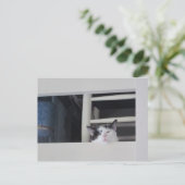 シェーヌアウシヒト ポストカード (スタンド正面)