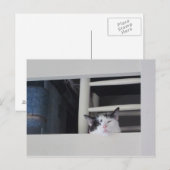 シェーヌアウシヒト ポストカード (正面/裏面)