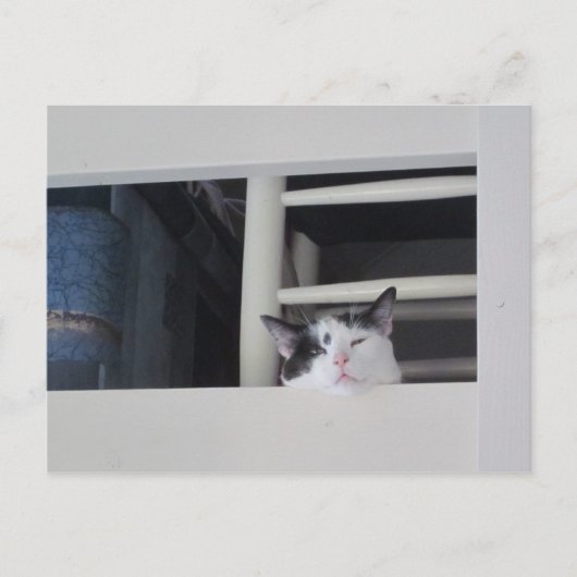 シェーヌアウシヒト ポストカード (正面)