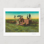 シェーバー湖ウィンターシーンシェーバー湖， CA ポストカード (正面)