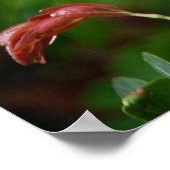 シェービングブラシツリー ポスター (角)