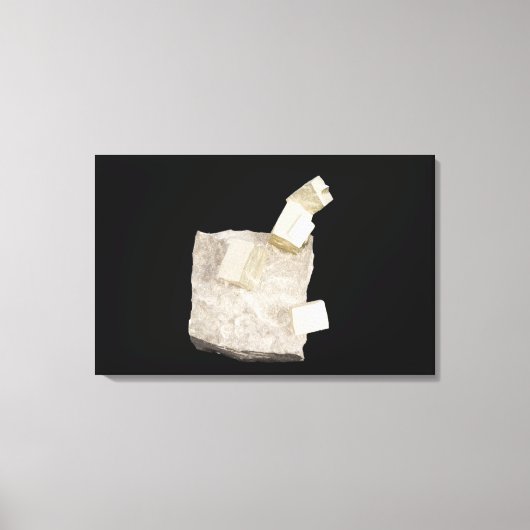 シェールの黄鉄鉱の結晶 キャンバスプリント (正面)