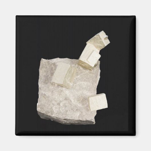 シェールの黄鉄鉱の結晶 マグネット (正面)