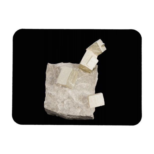 シェールの黄鉄鉱の結晶 マグネット (横)